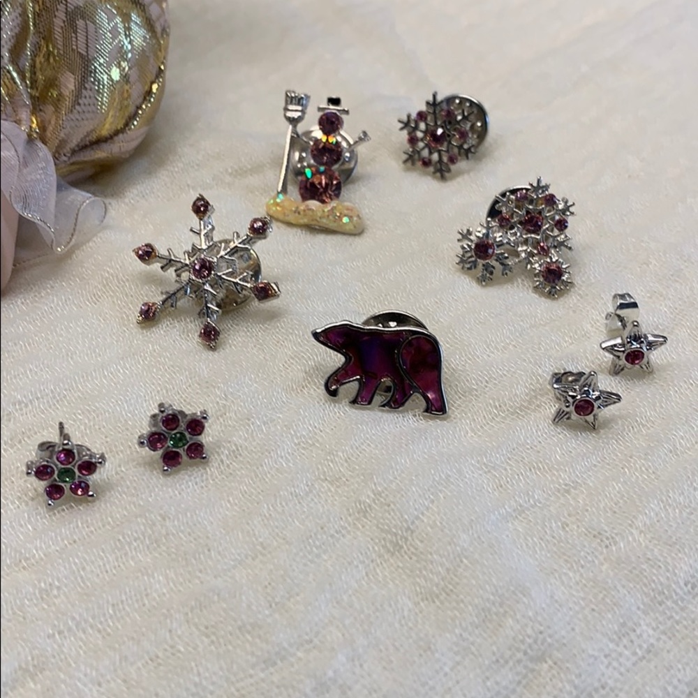 ❄️Snowflake & Star assorted pins- earrings #A498